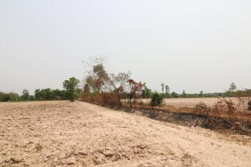 27 Rai, 3 Ngan, 40 Talang Wah Of Land For Sale, Nong Han, Udon Thani Province, Thailand