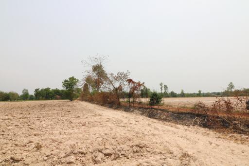 27 Rai, 3 Ngan, 40 Talang Wah Of Land For Sale, Nong Han, Udon Thani Province, Thailand