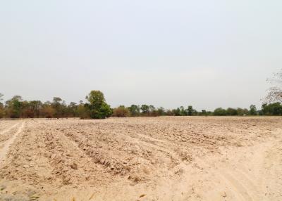 27 Rai, 3 Ngan, 40 Talang Wah Of Land For Sale, Nong Han, Udon Thani Province, Thailand