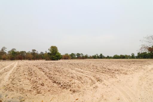 27 Rai, 3 Ngan, 40 Talang Wah Of Land For Sale, Nong Han, Udon Thani Province, Thailand