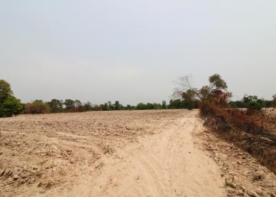 27 Rai, 3 Ngan, 40 Talang Wah Of Land For Sale, Nong Han, Udon Thani Province, Thailand