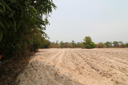 27 Rai, 3 Ngan, 40 Talang Wah Of Land For Sale, Nong Han, Udon Thani Province, Thailand