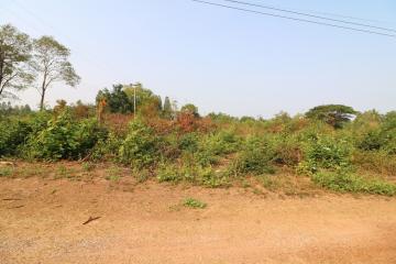 2 Rai,1 Ngan, 58 Talang Wah of Land For Sale In Nong Na Kham, Udon Thani, Thailand