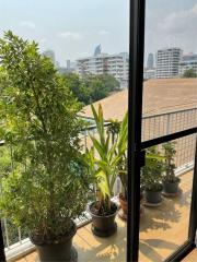 For Rent 3 Bedrooms Pet Friendly Thonglor