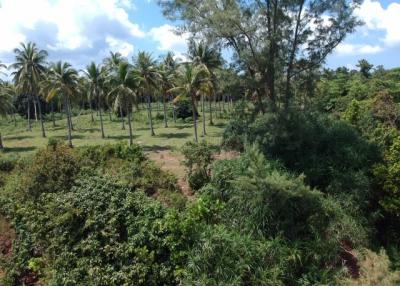 Absolute Beachfront : Beautiful Plot of Land in Bang Saphan Noi