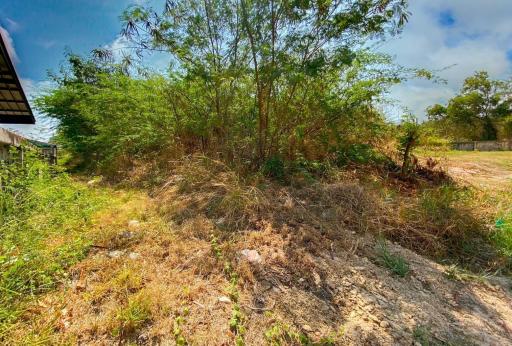 Good Size Land Plot In Excellent Location