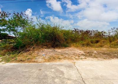 Good Size Land Plot In Excellent Location