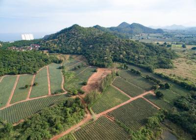 Beautiful Elevated Land Plots near Hua Hin with Sea and Mountain views