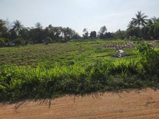 Land For Sale In Pattaya