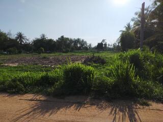 Land For Sale In Pattaya