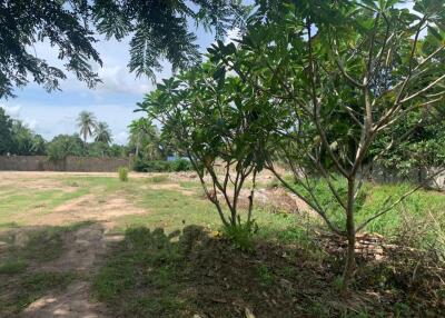 Building Plot in Huay Yai