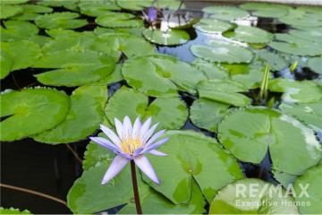 ขายคอนโดหรู Elio Del Ray สุขุมวิท 64