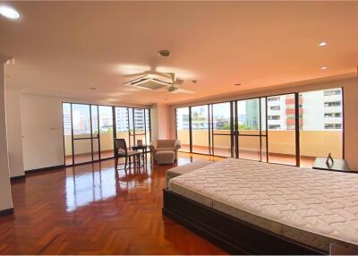 For rent pet friendly apartment 3 bedrooms in Sukhumvit 23 BTS Asoke MRT Sukhumvit