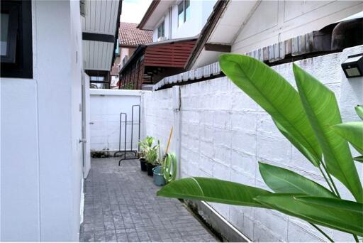 A fully furnished modern styling house in Bangna.