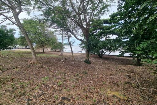 Beachfront land almost 9 rai @Don Sak Pier to Samui,Surattani - 920121030-141