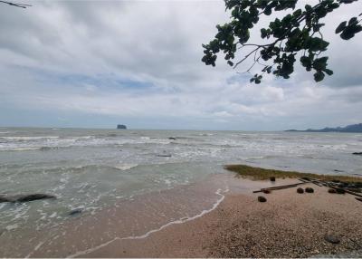 Beachfront land almost 9 rai @Don Sak Pier to Samui,Surattani - 920121030-141