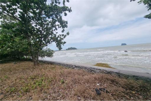 Beachfront land almost 9 rai @Don Sak Pier to Samui,Surattani - 920121030-141